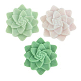 Set of 3 Rosette Succulent Soaps, Natural Artisan Soap: Set of 3 Mix Colors Succulent Soaps