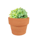 Terracotta 4.3 inch Pot - Pot with Drainage for Plants