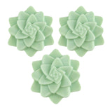 Set of 3 Rosette Succulent Soaps, Natural Artisan Soap: Set of 3 Mix Colors Succulent Soaps