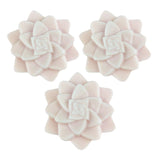 Set of 3 Rosette Succulent Soaps, Natural Artisan Soap: Set of 3 Mix Colors Succulent Soaps