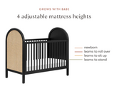 Babyletto Bondi Cane 3-in-1 Convertible Crib