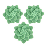 Set of 3 Rosette Succulent Soaps, Natural Artisan Soap: Set of 3 Mix Colors Succulent Soaps